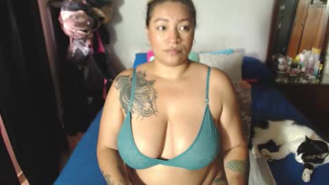 rousse online show from 11, 3, 2026