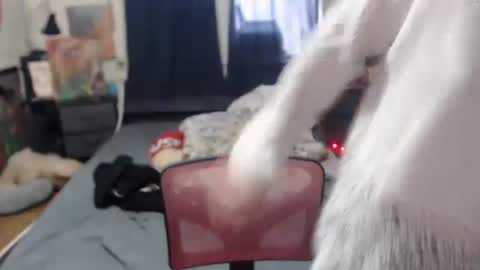 Snapshot of roxanneroulette chatting on 16, 2, 2025 Silver online show from 16, 2, 2025