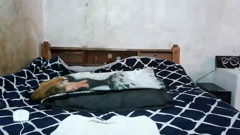 ruu_prettygal online show from 4, 4, 2026