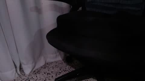 Snapshot of rx7900xtx chatting on 4, 12, 2025 rx7900xtx online show from 4, 12, 2025