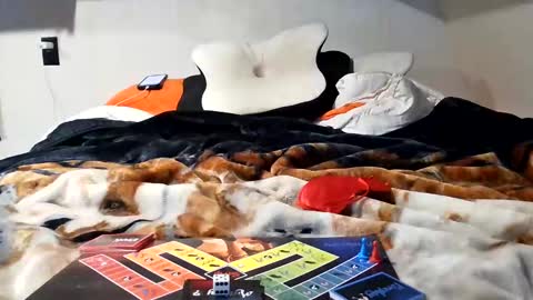 RyTracey2024 online show from 14, 1, 2025