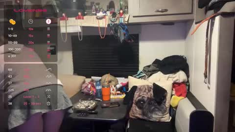 RyTracey2024 online show from 21, 9, 2025