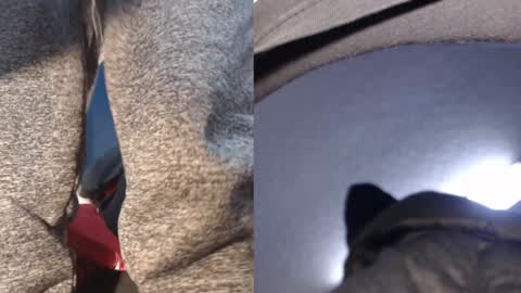 Ryushi009 online show from 21, 1, 2025