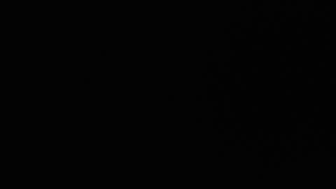 Ryushi009 online show from 24, 1, 2025