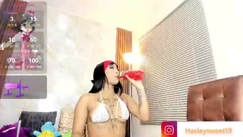  Hasley  online show from 6, 8, 2026