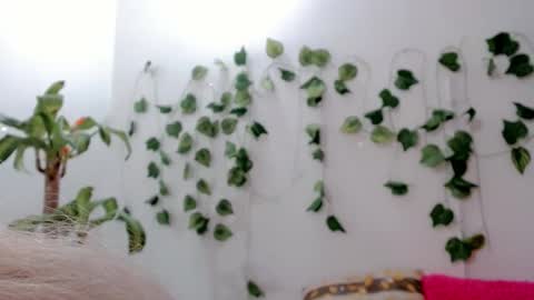 Snapshot of sabrinaexpositoxx chatting on 25, 9, 2025 SABRI online show from 25, 9, 2025