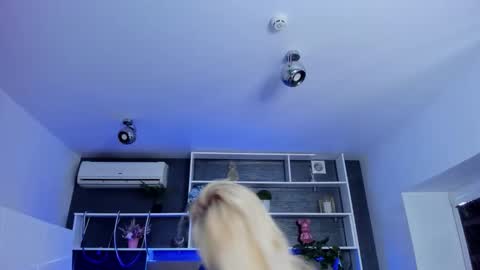 Sabrina online show from 29, 3, 2026