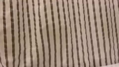 Dee online show from 29, 10, 2025