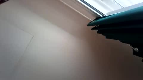 salis1981 online show from 13, 12, 2025