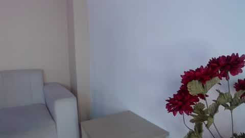 salome__2002 online show from 28, 6, 2026