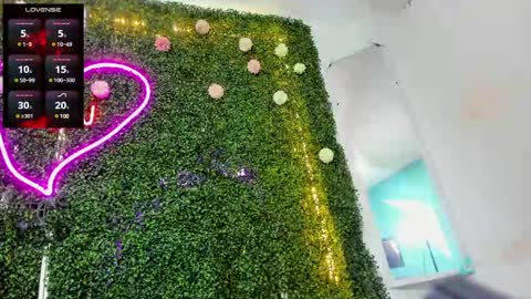 salome online show from 12, 12, 2024