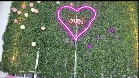 salome online show from 25, 1, 2025