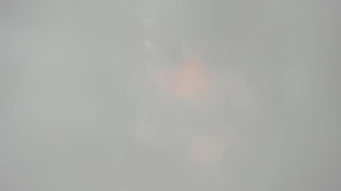 Salomme Cruz online show from 7, 11, 2025