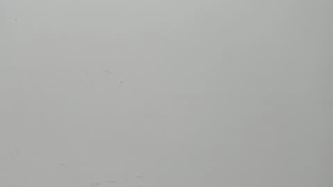 SALVATORE online show from 6, 2, 2025