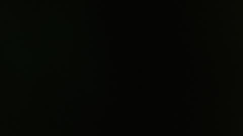 SAM AND BRENDA online show from 30, 12, 2024