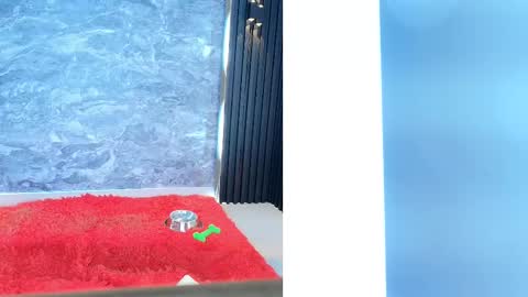 Samantha online show from 11, 2, 2025