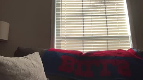 Playful Sammie online show from 18, 1, 2026