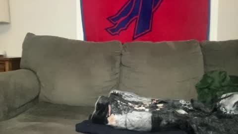 Playful Sammie online show from 29, 6, 2026