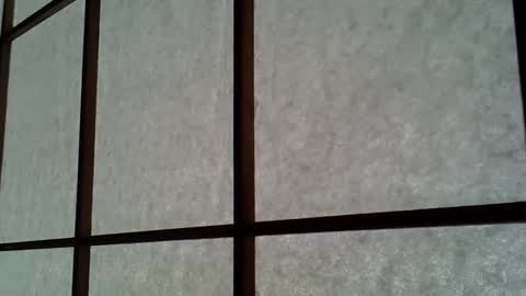 ssk online show from 11, 4, 2026