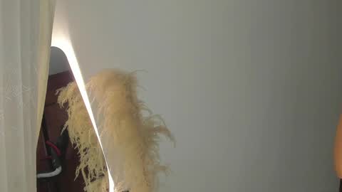 Hello I am absent due to a family calamity I will return soon-hola estoy ausente por un problema familiar volvere pronto. online show from 19, 2, 2025