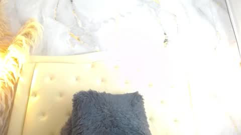 Snapshot of samy_moore14 chatting on 13, 12, 2025 S A M A N T H A online show from 13, 12, 2025