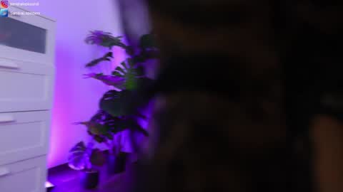 Sandra online show from 23, 1, 2025