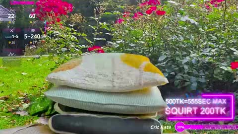 sansa_staark online show from 17, 10, 2025