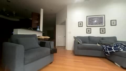 Santana online show from 21, 2, 2026