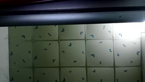 Snapshot of santichai561323 chatting on 19, 2, 2025 santichai561323 online show from 19, 2, 2025