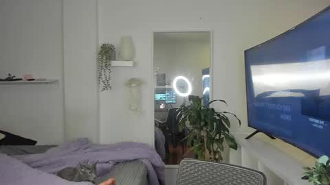 kitty online show from 19, 11, 2025