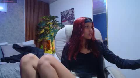 saphi online show from 2, 2, 2026