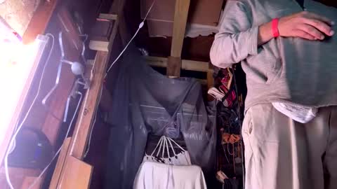 Sarrah Sweet online show from 15, 2, 2026