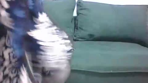 sarah_haggai online show from 4, 11, 2025