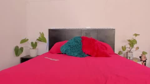 Girl next door online show from 16, 1, 2025