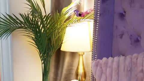 Snapshot of saraiangel chatting on 14, 7, 2026 Sarai online show from 14, 7, 2026
