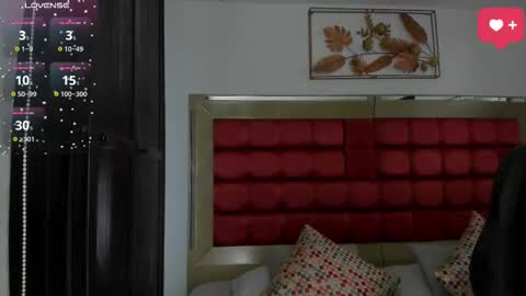      online show from 11, 2, 2026