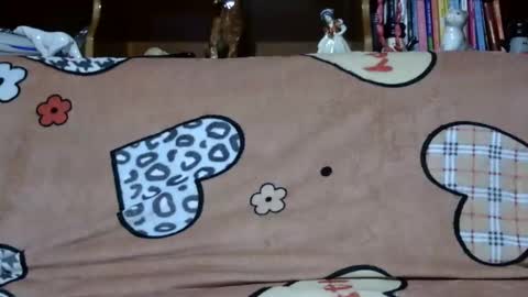 Sarra online show from 2, 12, 2024