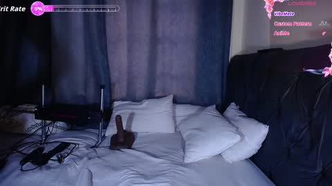 andrea harding online show from 8, 1, 2026