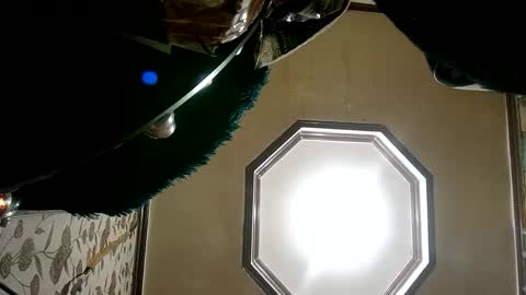 Princess online show from 25, 1, 2025