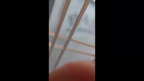 satou308 online show from 4, 4, 2026