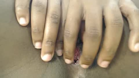 pety online show from 1, 3, 2026