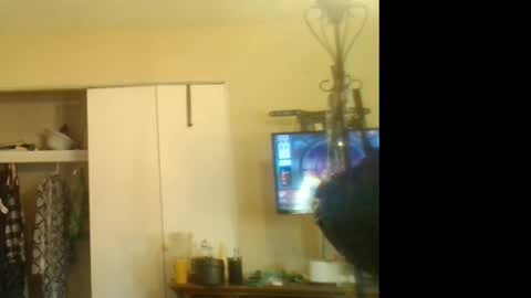 Snapshot of savagerager chatting on 28, 10, 2025 SavageRager online show from 28, 10, 2025