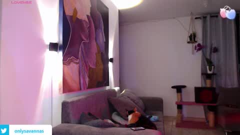 Snapshot of savanna_wallace chatting on 10, 9, 2025 Savannaredhair 33 Angelebony33 online show from 10, 9, 2025