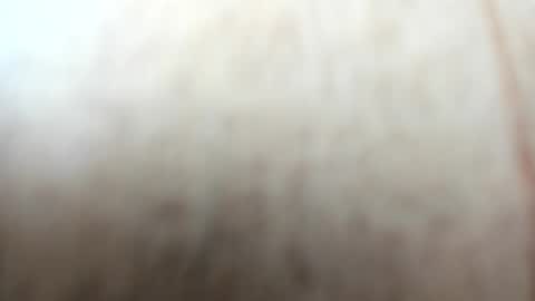 sayo_mao18 online show from 24, 9, 2025