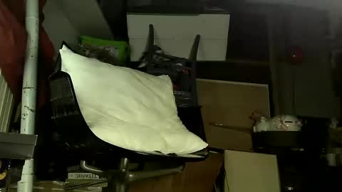 Sbamx online show from 17, 12, 2024