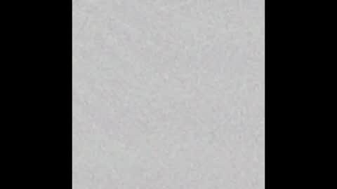 Venus online show from 23, 11, 2025