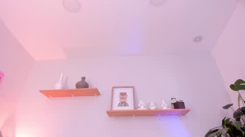 Scarlett Morgan online show from 19, 2, 2025