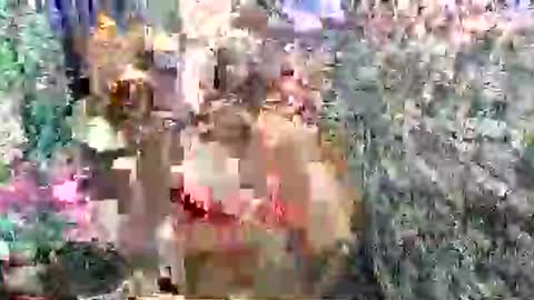 SCAS ANGEL S online show from 27, 4, 2026