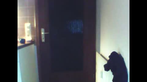 Snapshot of schnibschnab chatting on 27, 2, 2026 schnibschnab online show from 27, 2, 2026