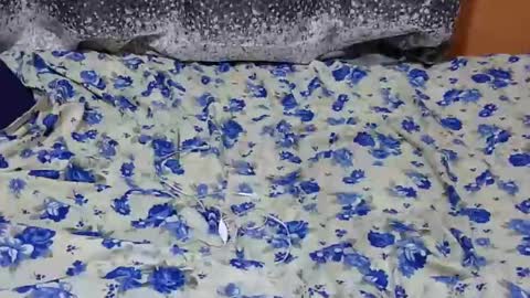 Its Lilly online show from 27, 1, 2025